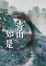 青山如画什么意思