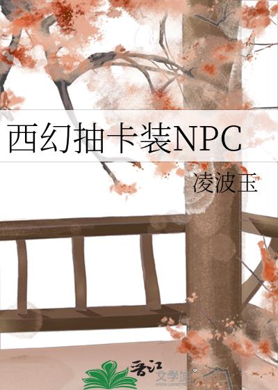 西幻抽卡装NPC免费