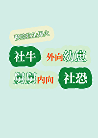 外向的内向人格是什么